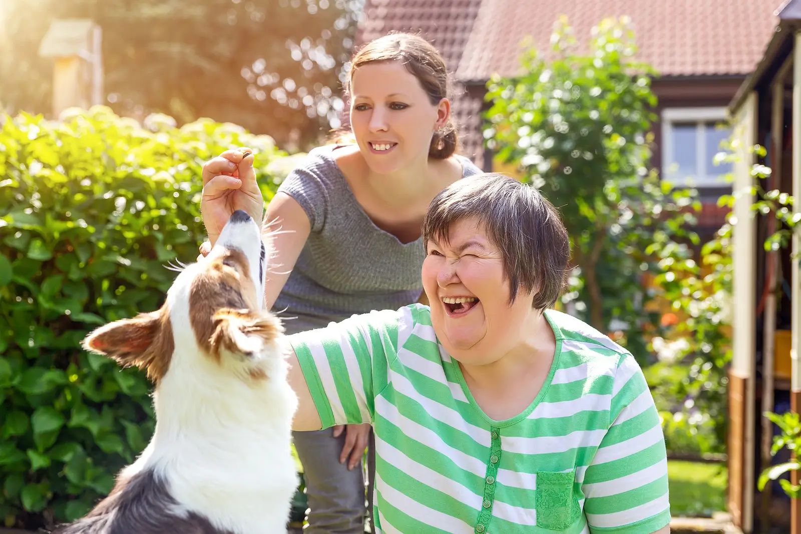 Navigating the Laws for Service Dogs in Westminster Rental Properties