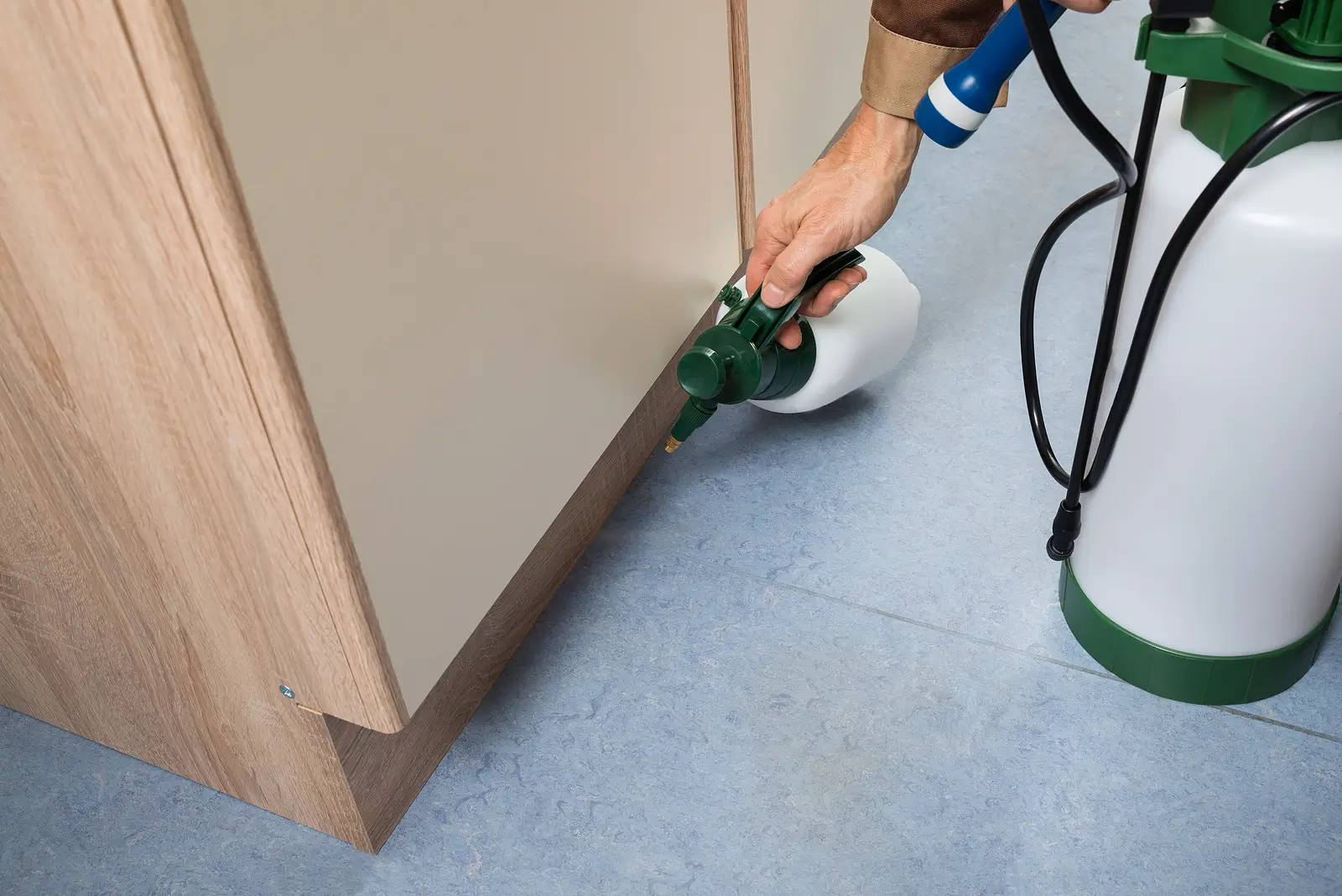 Pest Control Protocols Every Westminster Landlord Should Master